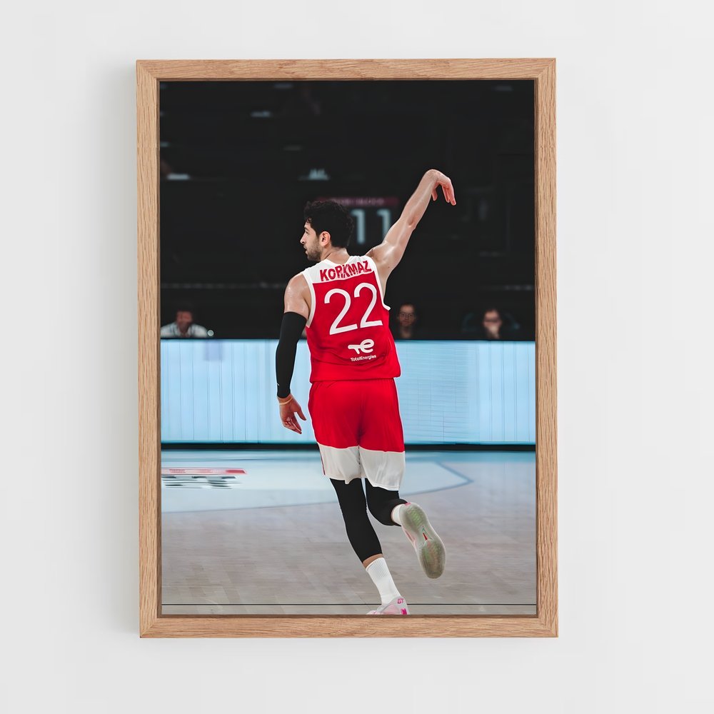 Poster Furkan korkmaz – affiche Basketball (vue 4)